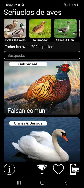 Aplicación móvil Señuelo en las aves Europeas: Cantos, Llamadas, Sonidos de Pájaros Europeos - pantalla principal con todas las especies de aves