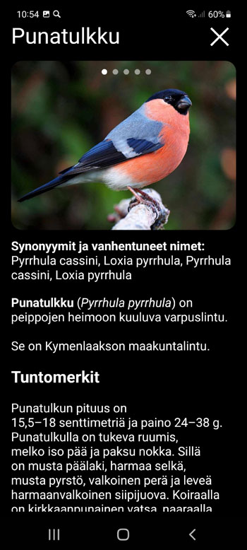 Mobiilisovellus Houkutuslintu Euroopan linnuille: Lauluja, Puheluita, Г„Г¤niГ¤ - lintulajin kuvaus