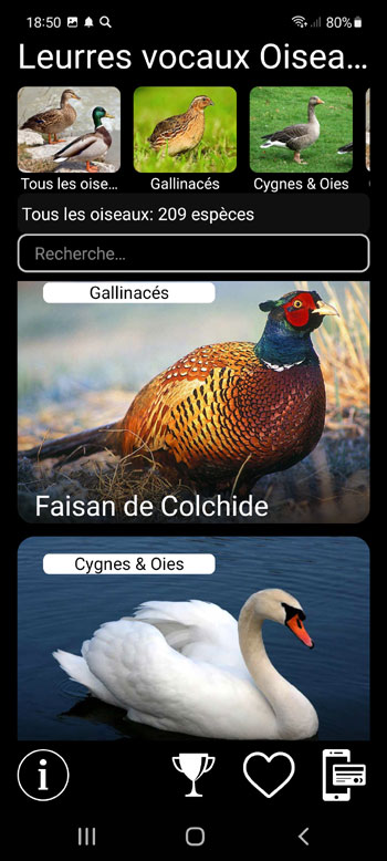 Application Mobile Leurres pour oiseaux Europeens: Chants d'Oiseaux, Appels, Sons - écran principal avec toutes les espèces d'oiseaux