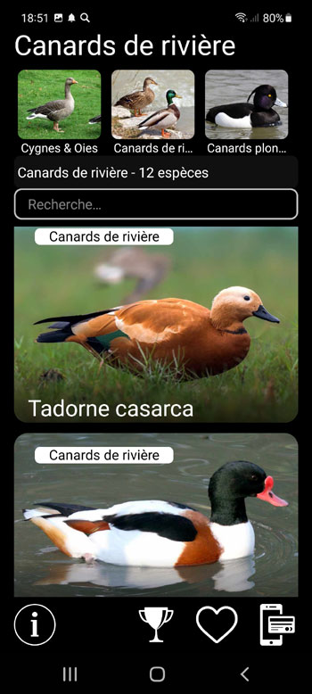 Application Mobile Leurres pour oiseaux Europeens: Chants d'Oiseaux, Appels, Sons - criblage systématique, régional et écologique des groupes