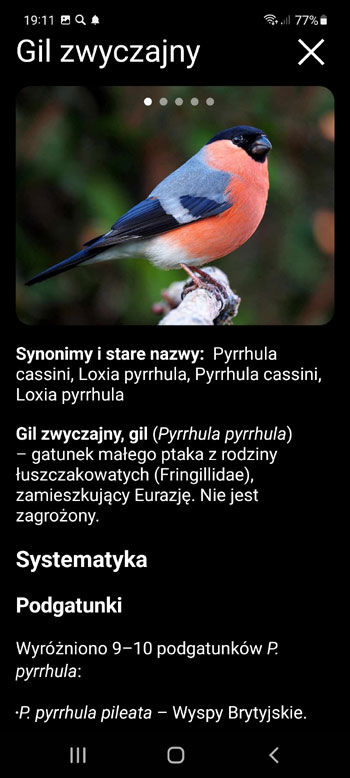 Aplikacja Mobilna Wabik na ptaki Europy: pieЕ›ni, Е›piewy, gЕ‚osy ptakГіw - ekran opisu gatunkГіw ptakГіw