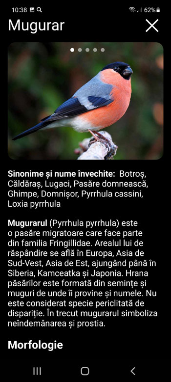 Aplicație Mobilă Momeală sonoră pentru păsările Europei: cântece, apeluri, voci de păsări - ecranul de descriere a speciilor de păsări