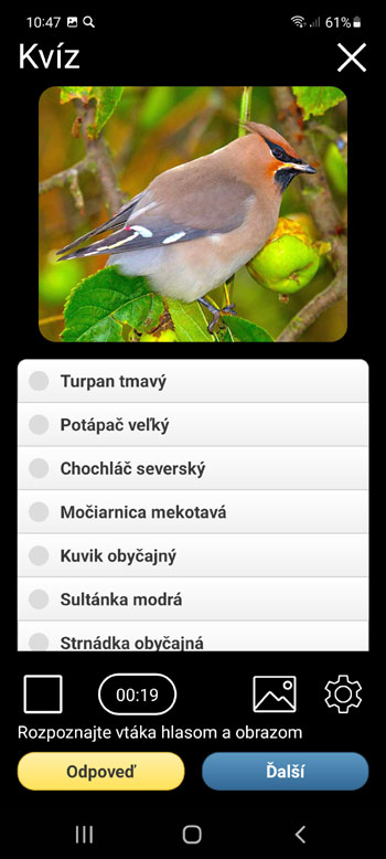 Mobilná Aplikácia Hlasy vtákov Európy PRO: hlasy, spevy, hovory a zvuky - Kvízová obrazovka