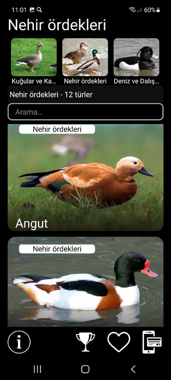 Mobil Uygulama Kuşlar için ses tuzakları: kuşların şarkıları, çağrıları, sesleri - sistematik, bölgesel ve ekolojik gruplar ekranı