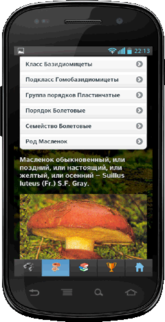 Мобильное приложение Полевой атлас-определитель сумчатых и базидиальных грибов России для Android - систематическое положение и названия вида