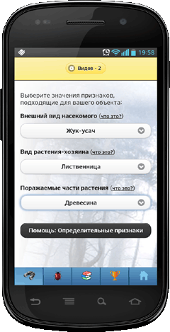 Мобильное приложение Полевой атлас-определитель насекомых-вредителей лесов России для Android - определительные признаки