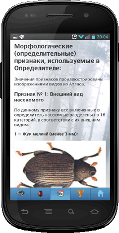 Мобильное приложение Полевой атлас-определитель насекомых-вредителей лесов России для Android - определительные признаки