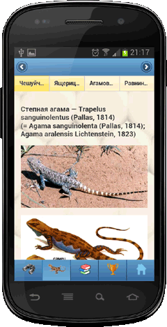 Мобильное приложение Полевой атлас-определитель рептилий (пресмыкающихся) Северной Евразии (России и СССР) для Android - фотографии вида
