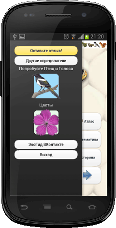 Мобильное приложение Полевой атлас-определитель рептилий (пресмыкающихся) Северной Евразии (России и СССР) для Android - инструкция