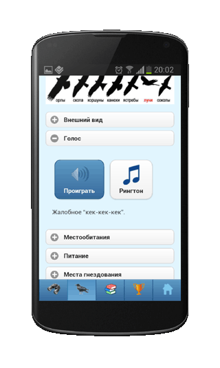 Мобильное приложение Полевой атлас-определитель птиц, птичьих гнезд, яиц и голосов птиц для Android - записи голосов птиц в атласе