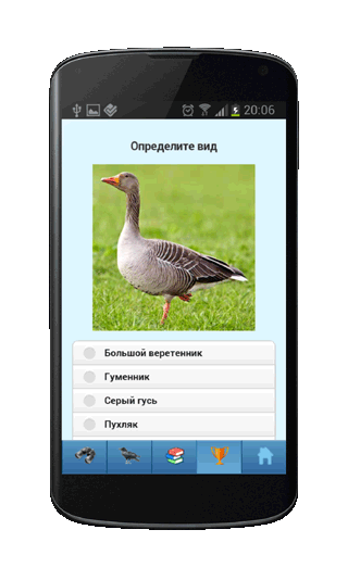 Мобильное приложение Полевой атлас-определитель птиц, птичьих гнезд, яиц и голосов птиц для Android - викторина по определению птиц