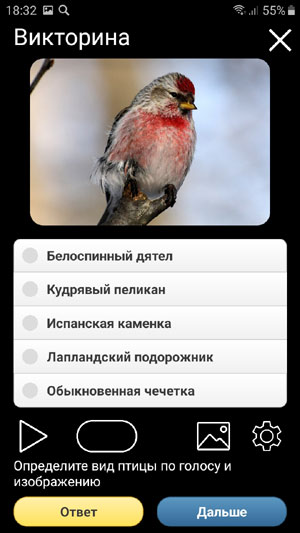 Мобильное приложение Голоса птиц Европы PRO - Викторина по определению голосов птиц
