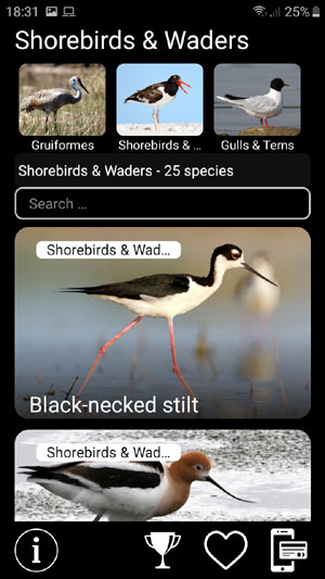 Мобильное приложение Манок на птиц: Птицы Северной Америки - Birds of North America: Decoys - список видов птиц в группе Кулики Shorebirds & Waders