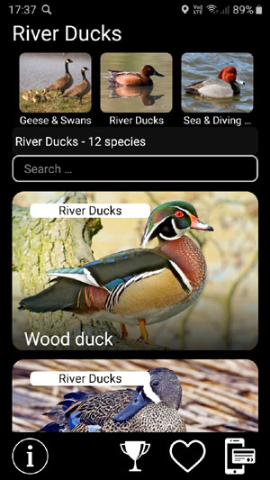 Мобильное приложение Манок на птиц: Птицы Северной Америки - Birds of North America: Decoys - список видов птиц в группе Речные утки River ducks