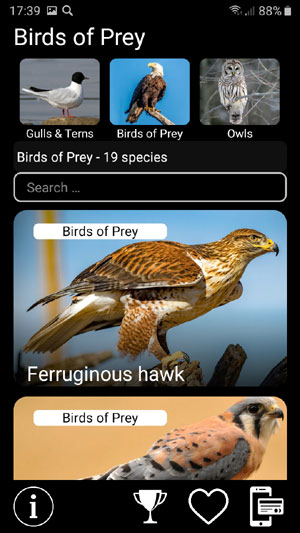 Мобильное приложение Манок на птиц: Птицы Северной Америки - Birds of North America: Decoys - список видов птиц в группе Хищные птицы Birds of prey