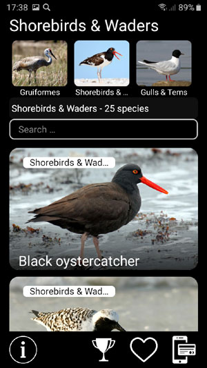 Мобильное приложение Манок на птиц: Птицы Северной Америки - Birds of North America: Decoys - список видов птиц в группе Кулики Shorebirds & Waders