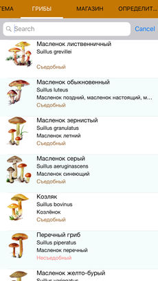 Мобильный полевой атлас-определитель грибов России для iPnone и iPad от Apple