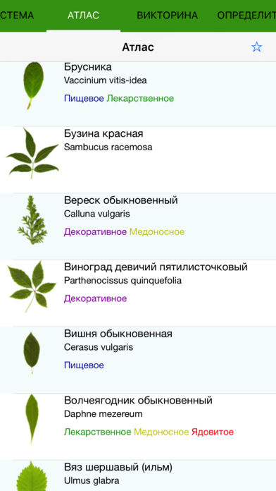 Мобильный полевой атлас-определитель деревьев, кустарников и лиан России для iPnone и iPad от Apple: главная страница атласа