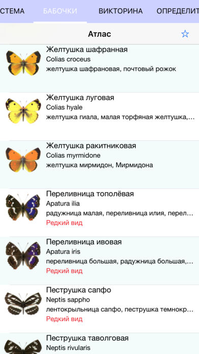 Мобильный полевой атлас-определитель дневных бабочек России для iPnone и iPad от Apple: главная страница атласа бабочек