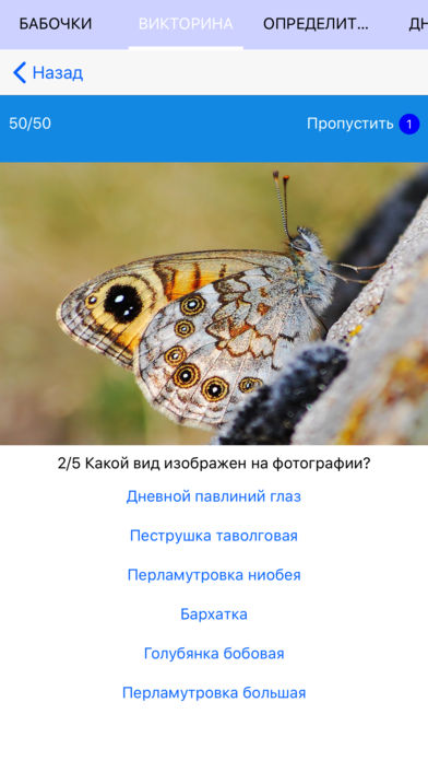 Мобильный полевой атлас-определитель дневных бабочек России для iPnone и iPad от Apple: викторина на узнавание видов бабочек