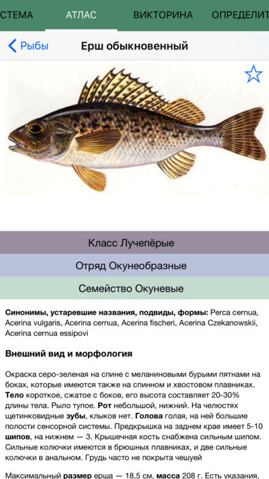 Мобильный полевой атлас-определитель пресноводных и проходных рыб России для iPnone и iPad от Apple
