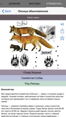 Полевой атлас-определитель млекопитающих (зверей) для iPhone и iPad от Apple - описание видов