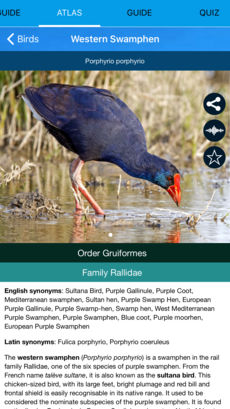 Мобильный полевой определитель птиц для iPnone и iPad: Птицы Европы (Birds of Europe) - описание видов