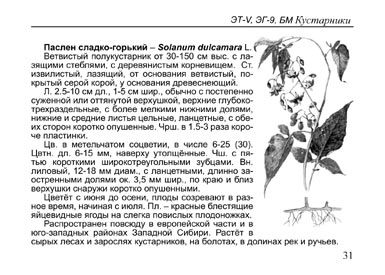 Образец страницы из книги Растения болот: Карманный определитель