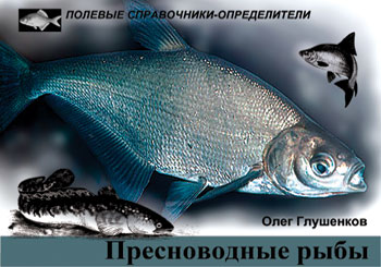 Обложка книги Пресноводные рыбы: Карманный определитель