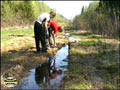 Study of Fauna of Spring Temporary Water Bodies