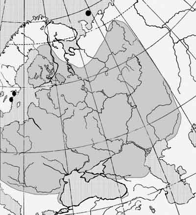 Голец усатый - Barbatula barbatula: карта ареала (область распространения)