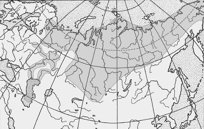 Нельма и белорыбица — Stenodus leucichthys: карта ареала (область распространения)