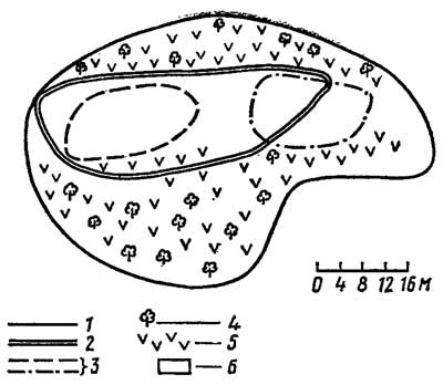 Индивидуальные участки хоросанской агамы Agama erythrogaster в Бадхызе