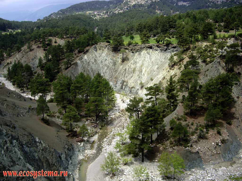 The valley of mountain river. The zone of coniferous (pine) forests.
Height -1200 m above the sea level.
Tavr mountain system (Asia minor plateau, south Turkey)