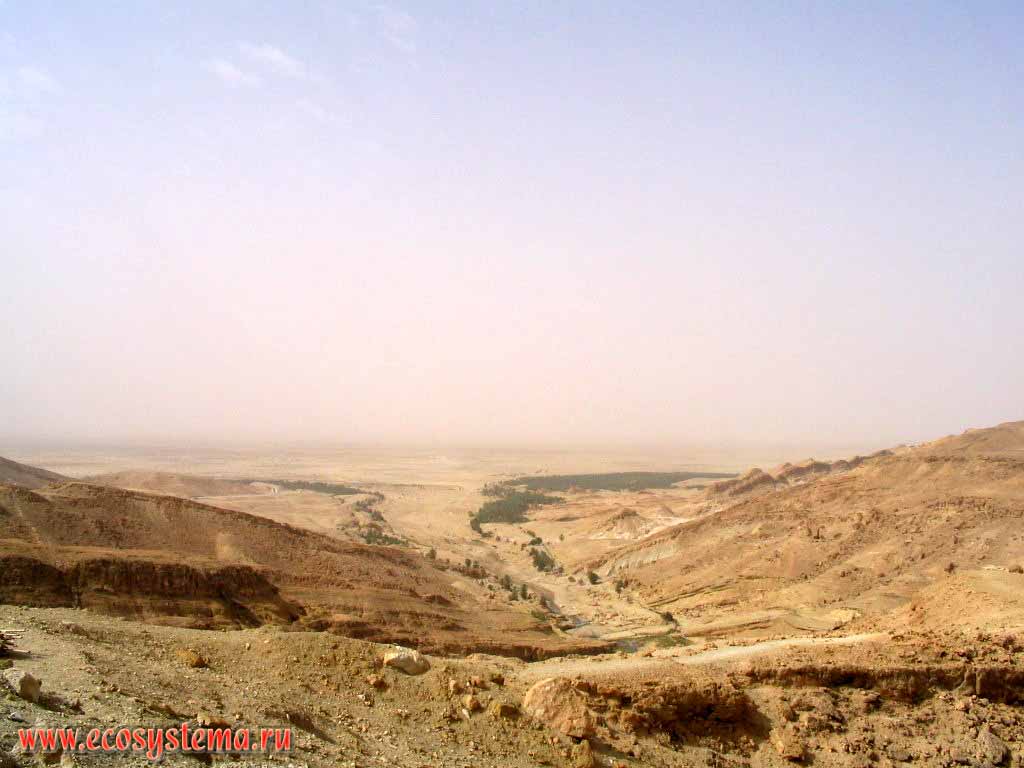 Край Атласской горной системы (страны) - отроги Сахарского Атласа.
Внизу - песчано-каменистая пустыня и оазис.
Район Матамата (Matmata) на юге Туниса