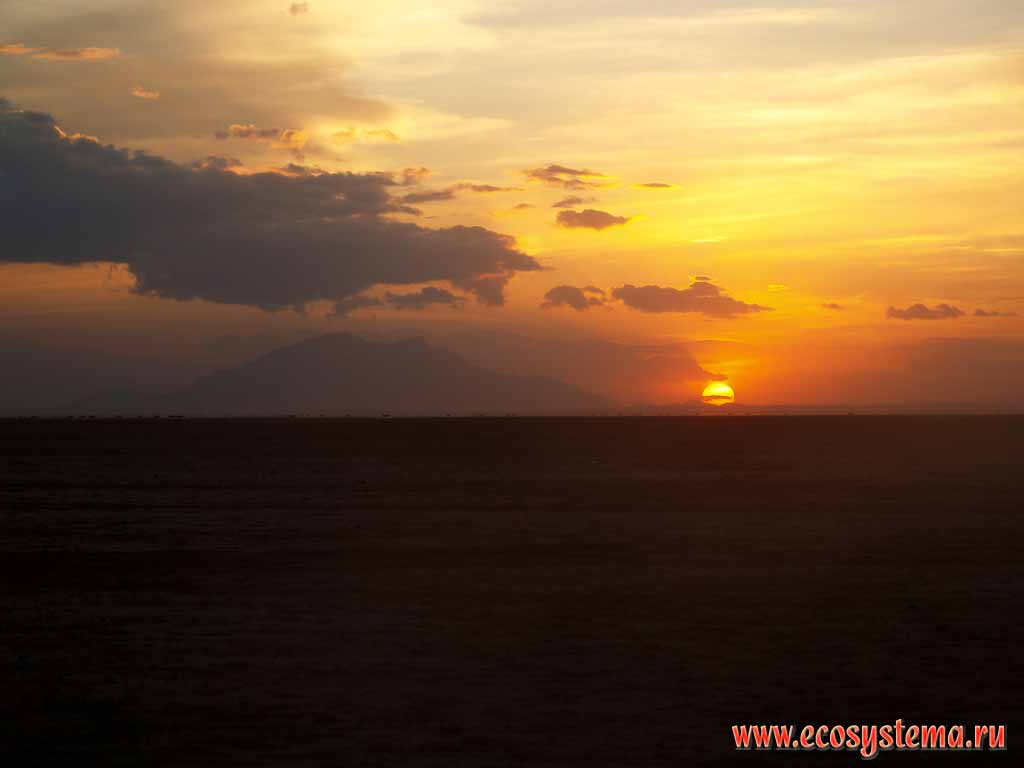 Закат в саванне. Вдали - вулканический массив Килиманджаро
с вершиной Кибо (5895 м). Кения, национальный парк Амбосели,
Восточно-Африканское нагорье