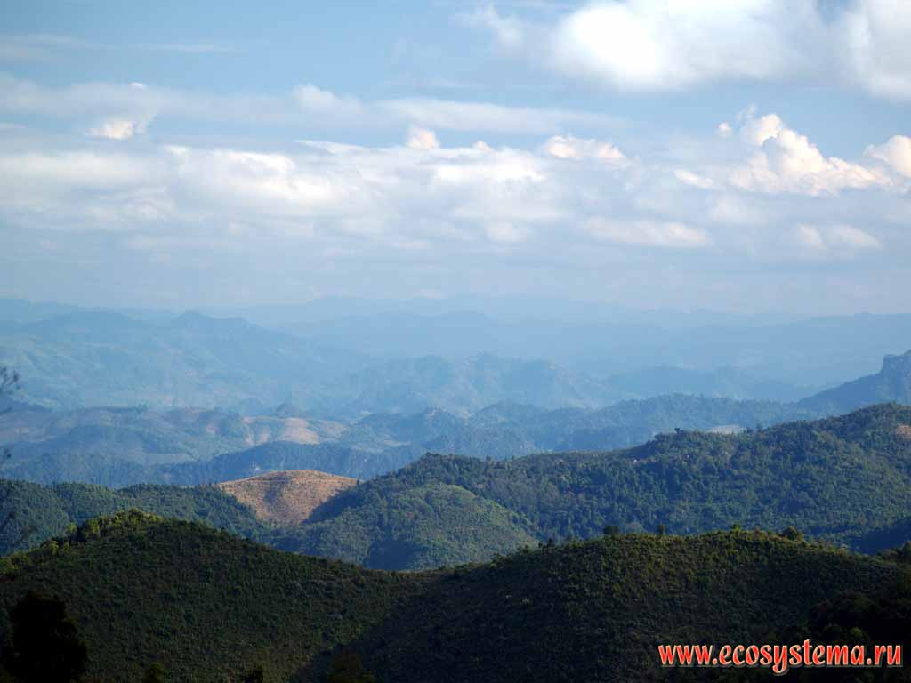 Dai-Laung mountain system (2000 m height).
The humid tropic forests. Indo-China peninsula.