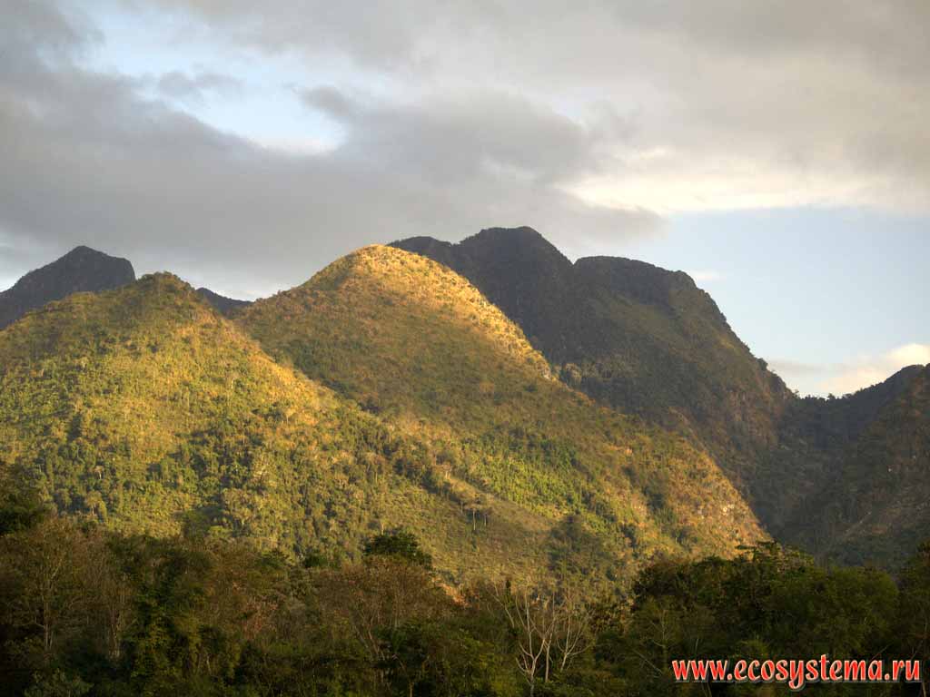 Dai-Laung mountain system (2000 m height).
The humid tropic forests. Indo-China peninsula