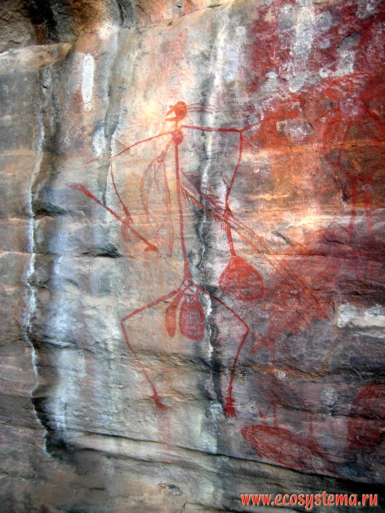 Rock paintings (carvings, petroglyphs) of the ancient busmen. Kakadu National Park. Northern Territory, Australia