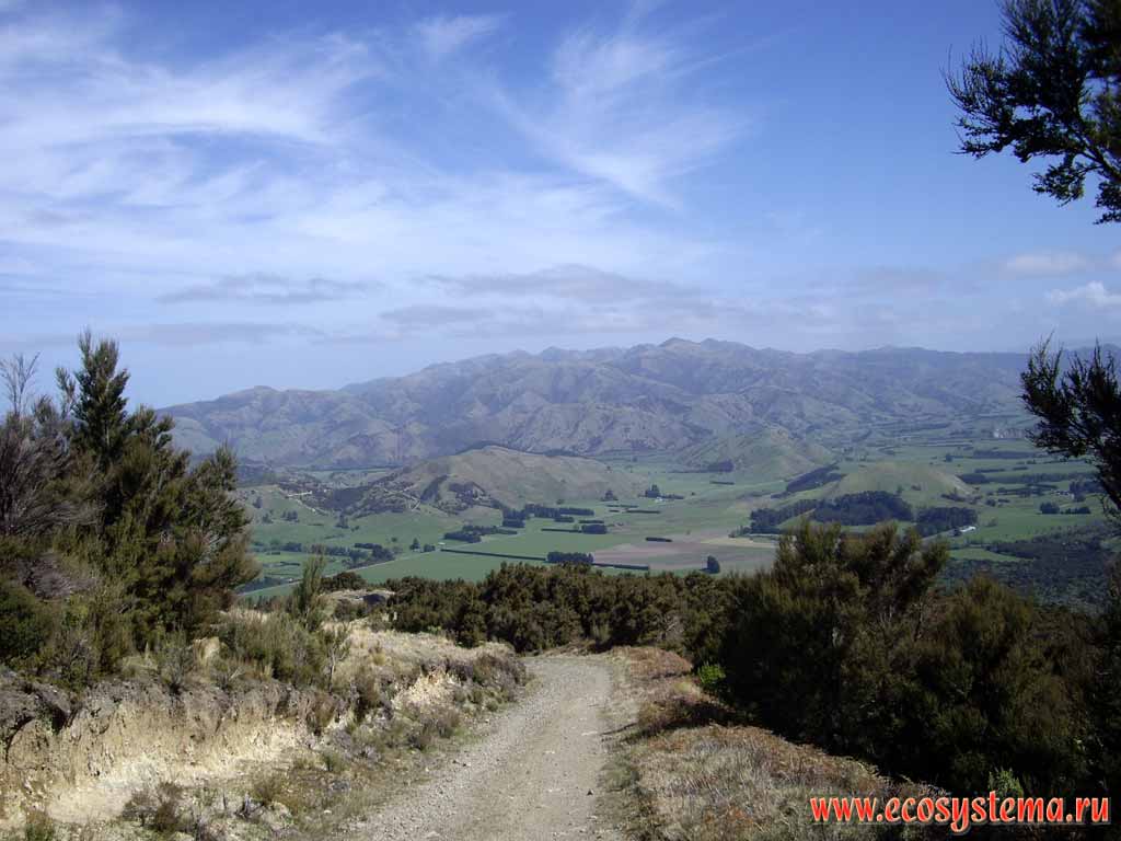 View to the Kaikoura valley. 400 meters above sea level.
Kaikoura district, Canterbury region, north-eastern part of the South Island, New Zealand