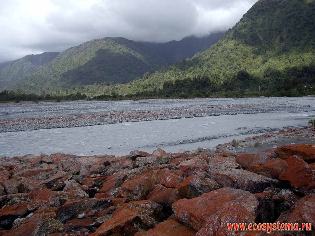 Waiho river, flowing from the France Joseph Glacier. Broadleaved deciduous forest zone.
West-coast region, western coast of the South Island, New Zealand
