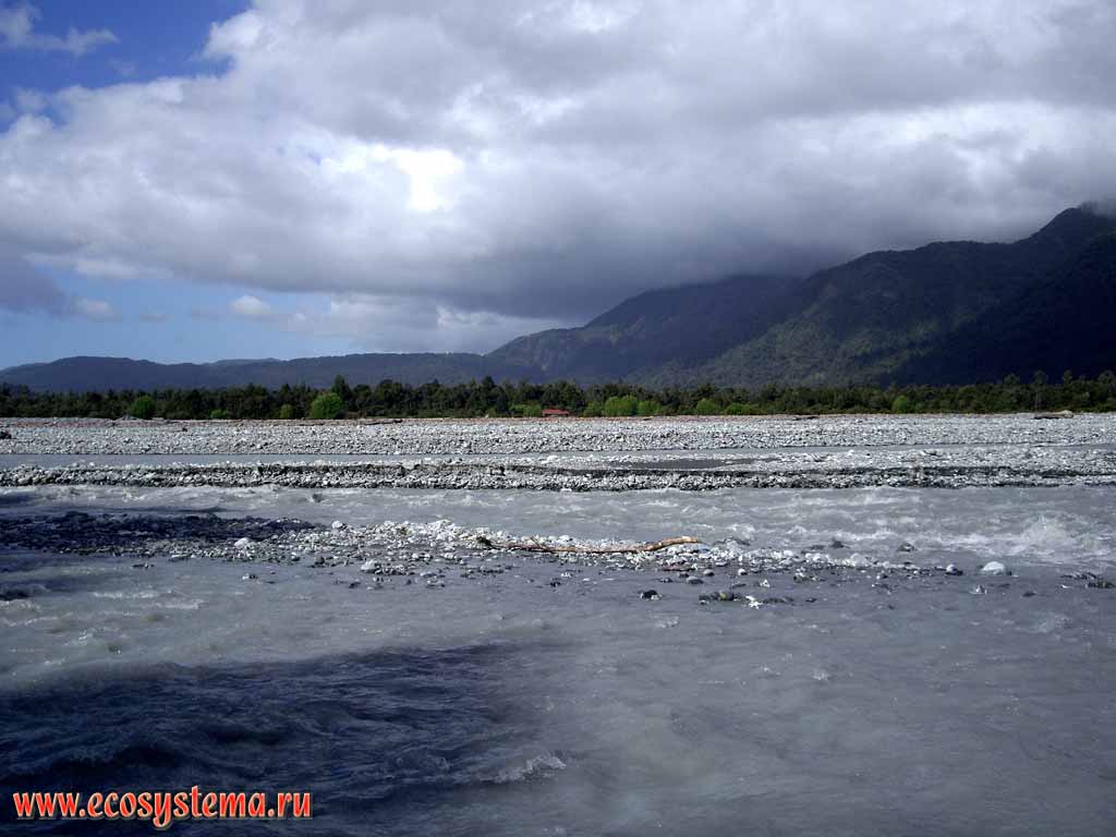 Waiho river, flowing from the France Joseph Glacier.
West-coast region, western coast of the South Island, New Zealand