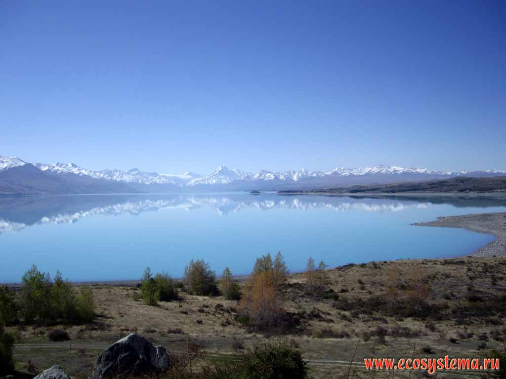 Lake Pukaki - the typical mountain (alpine) oligotrophic (with low nutrient level) glacial lake.
480 meters above sea level. Southern (New Zealand) Alps.
Mount Cook (the highest peak in New Zealand) is far away in the middle (3764 m height).
Canterbury region, South Island, New Zealand