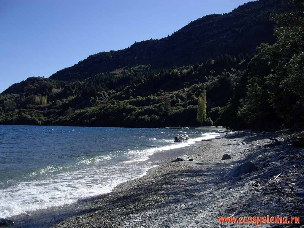 The shore of the Wakatipu Lake - inland glacial lake (finger lake) (310 meters above sea level).
Southern (New Zealand) Alps.
Queenstown area, Otago region, south-east part of South Island, New Zealand