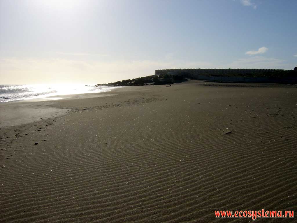 Песчаный пляж Плайя де ла Техита (Playa de la Tejita) после сильного ветра.
Окрестности города Эль Медано (El Medano), юг острова