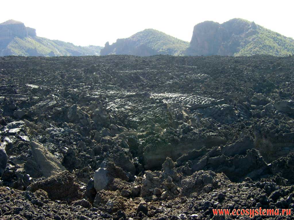 Лавовое поле 300-летней давности (после извержения 1709 г)
в кальдере Каньядас у подножия вулкана Вьехо.
Высота 2400 м над уровнем моря