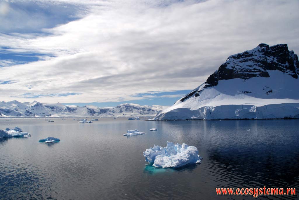 Обрушающаяся кромка материкового ледника - зона абляции ледника.
Между Антарктическим полуостровом и Южными Шетландскими островами.
Западная Антарктика, море Уэделла