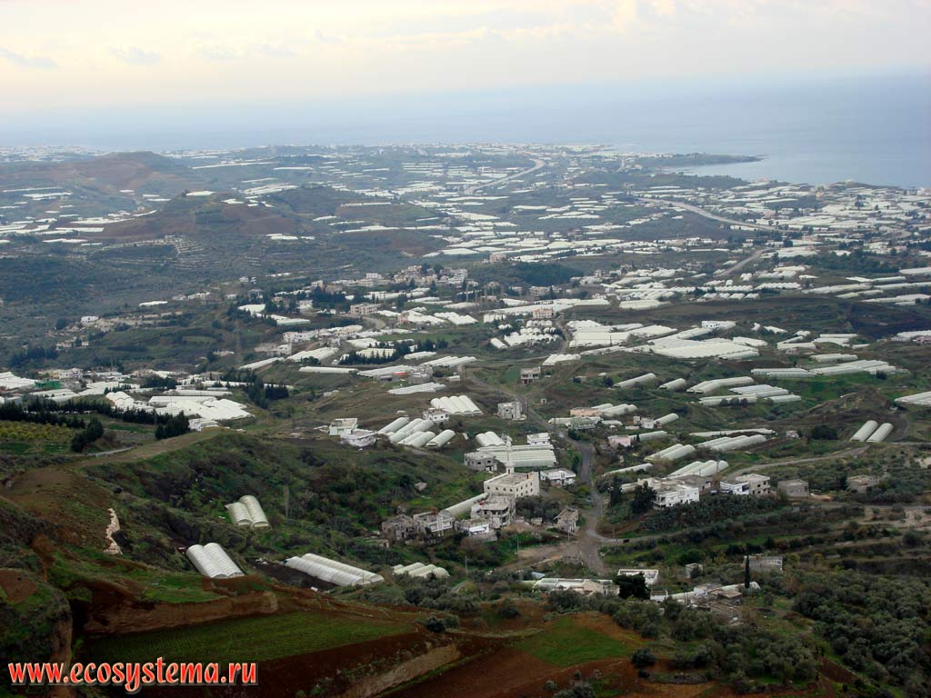 Typical anthropogenic landscape on the Mediterranean Sea coast. Asian Mediterranean (Levant), Latakia area, Western Syria