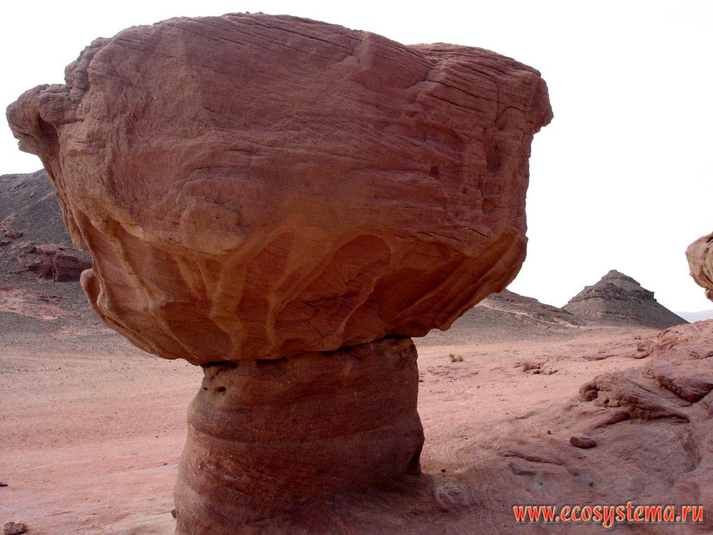 Земляная пирамида (останец гриб) - результат ветровой эрозии - одна из форм пустынного выветривания. Юго-Западная Азия, Аравийский полуостров, побережье Красного моря, парк Тимна, Эйлат, Израиль