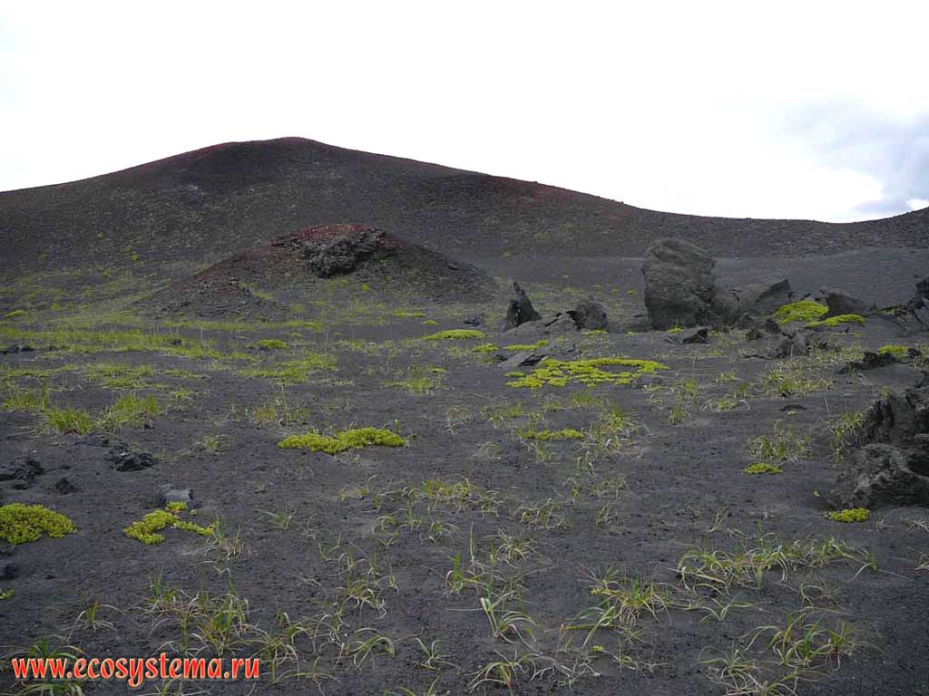 Шлаковая пробка в кратере вулкана Такетоми. Остров Атласова